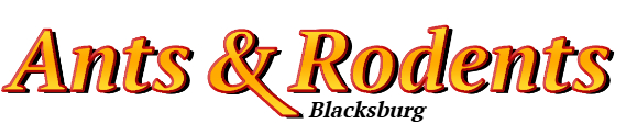 Blacksburg Ant Exterminator & Rodent Control Company Logo